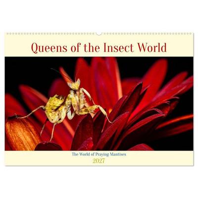 Queens of the Insect World (Wall Calendar 2027 DIN A2 landscape), CALVENDO 12 Month Wall Calendar