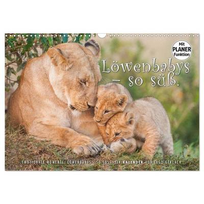 Emotionale Momente: Löwenbabys - so süß. (Wandkalender 2026 DIN A3 quer), CALVENDO Monatskalender