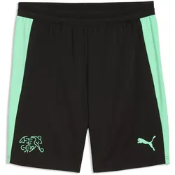 PUMA SFV Schweiz Trainingsshorts WM 2026 Herren 10 - PUMA black/green glimmer L