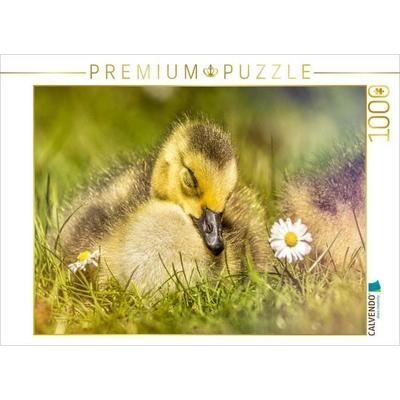 CALVENDO Puzzle Dieses Bild strahlt Ruhe und Frieden aus. Das schlafende Entlein in seinem natürlichen Umfeld ist ein wahrer Blickfang. | 1000 Teile