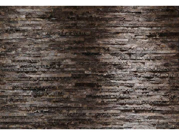 Fototapete KOMAR Birkenrinde - Grösse 368 x 254 cm , braun (braun, grau), B:368m L:254m, Papier, Tapeten, Fototapete, Wohnzimmer, Schlafzimmer