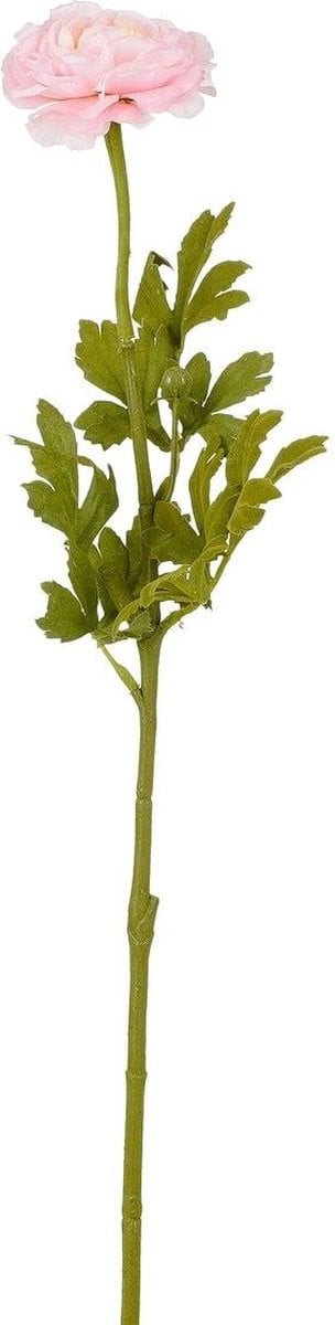 Mica Decorations Ranunculus Roze - 56 cm