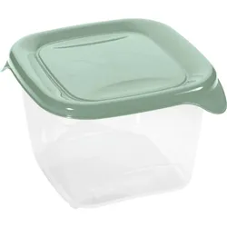 Curver Fresh&Go Frischhaltedose 0,45L quadratisch Vorratsdose transparent