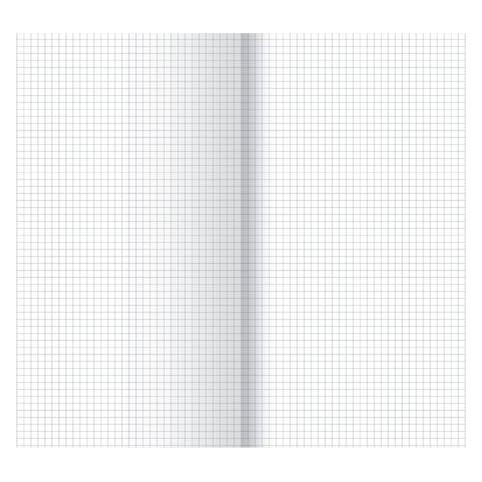 Staufen Kanzleipapier 70 g/qm kariert (A3, 250 Blätter, 70 g/m²) (608471000)