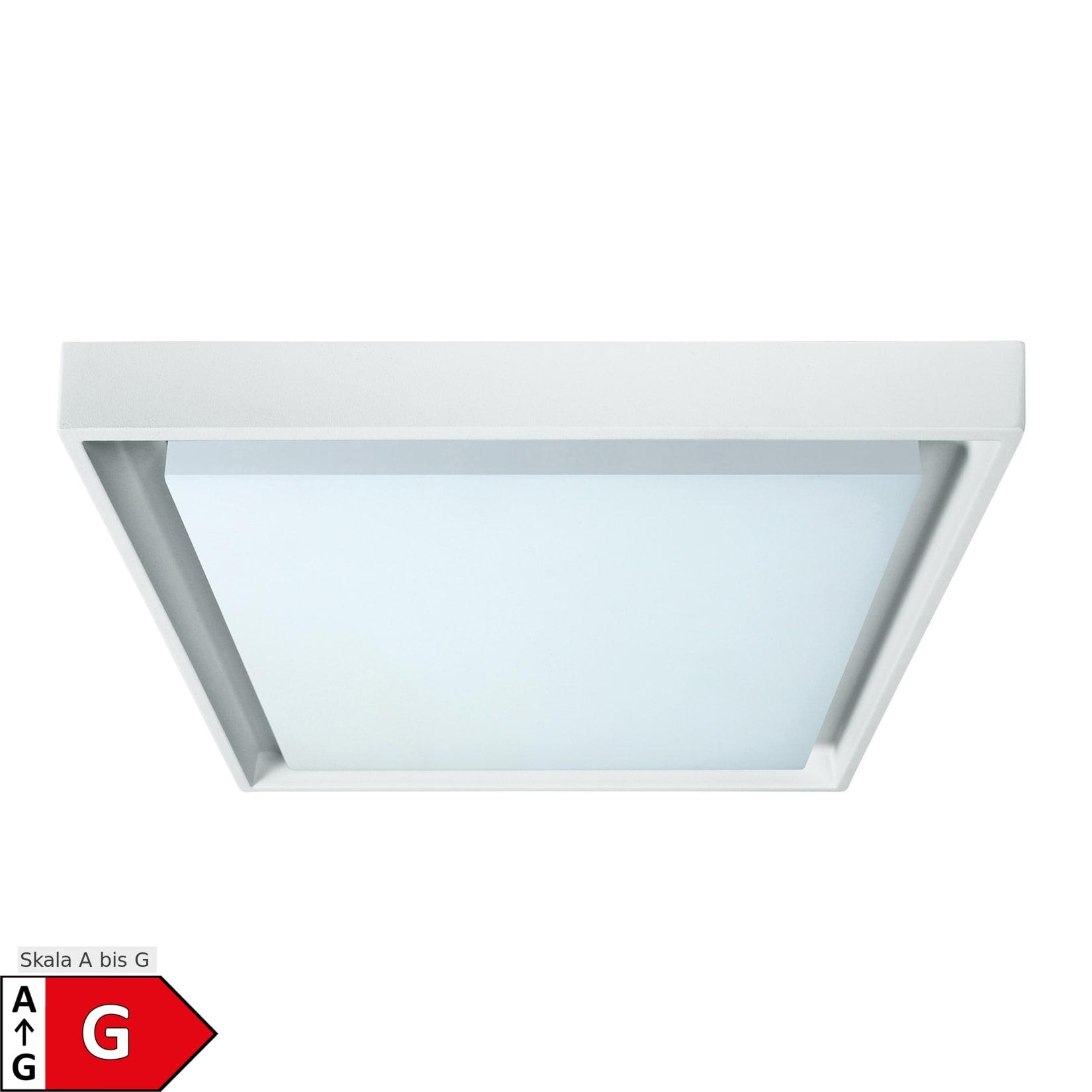 Näve LED Außendeckenleuchte IP54 "MIO" s:34cm