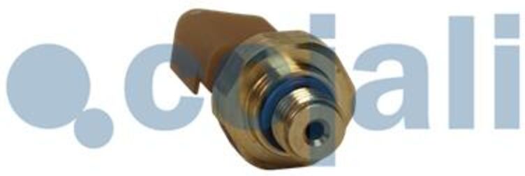 Sensor COJALI 2262049