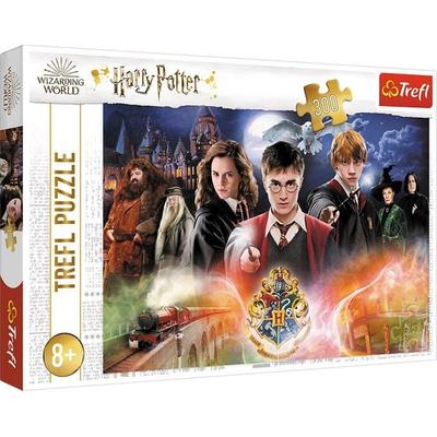 Harry Potter (Puzzle)