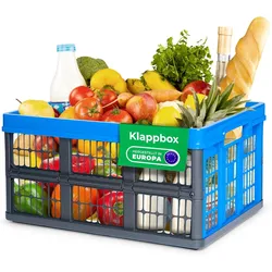 Novaliv Klappbox 45l Blau - Faltbare Korbbox mit praktischen Tragegriffen - Vielseitige Aufbewahrungsbox