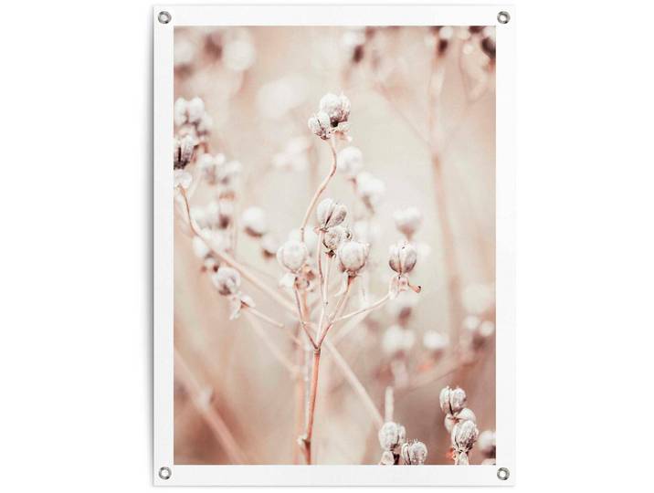 Poster REINDERS Getrockneter Zweig , beige (farbe bild(er): beige), B:60cm H:80cm T:0,1cm, Leinwand, Bilder, Poster