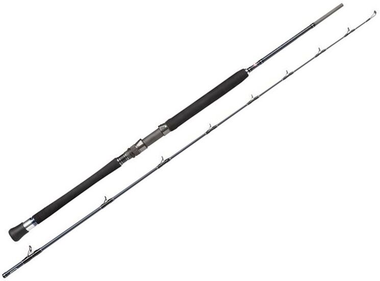 Penn Carnage Boat-20 Lbs