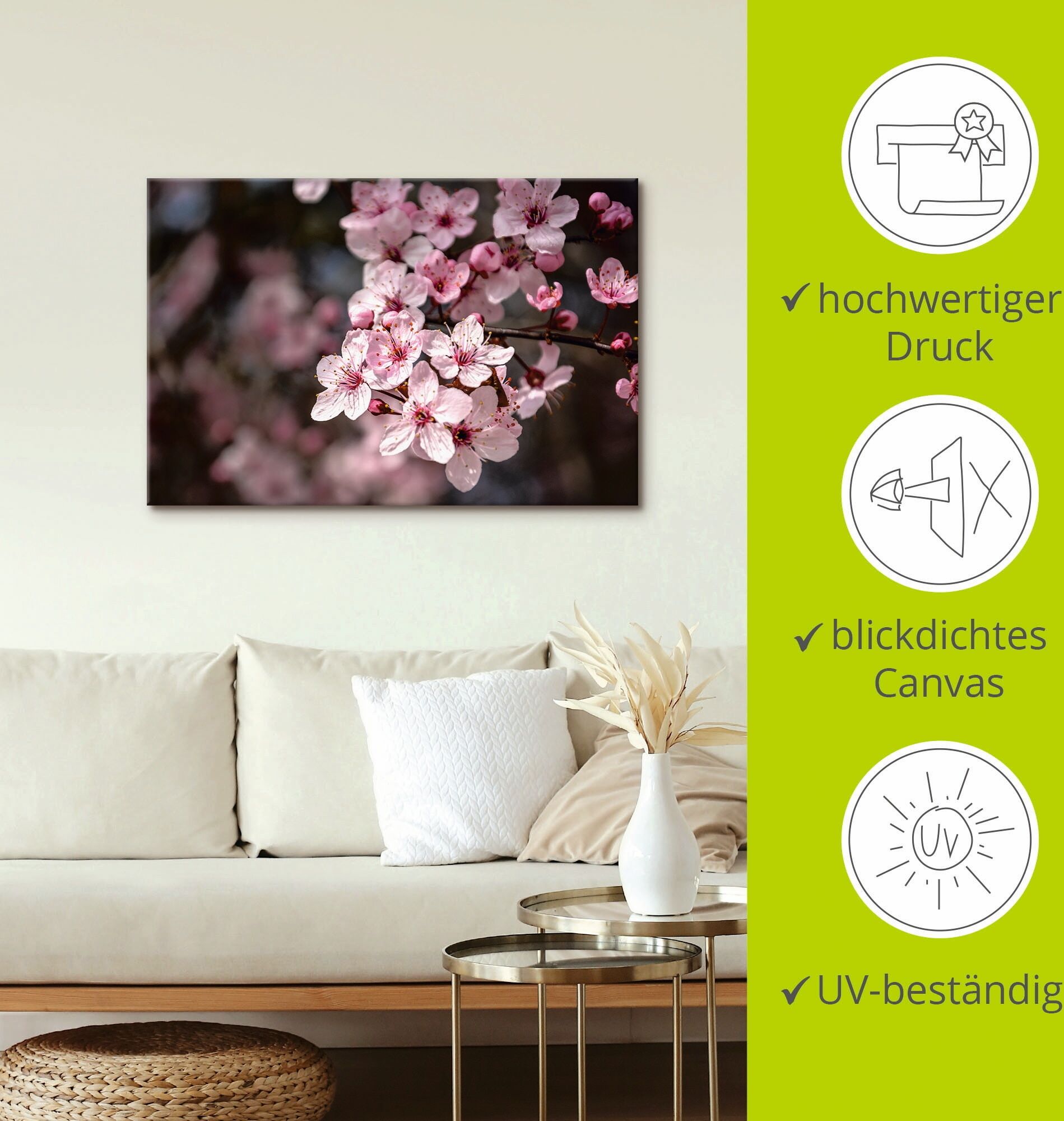 Leinwandbild ARTLAND "Kirschblüten Nahaufnahme im Sonnenlicht", pink (farbe bild(er): pink), B:90cm H:60cm, Bilder, Leinwandbild, auf Holzrahmen gespannt farbe bild(er): pink B/H/T: 90cm x 60cm, Leinwandbild Blumen Querformat, 1 Stk.