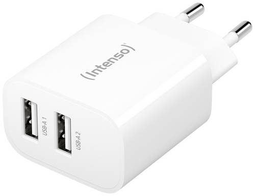 Intenso W24AA USB Ladegerät 24W 2x USB-A Weiß Innenbereich