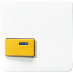 Jung Abdeckung aws CD 642 D WW CD642DWW