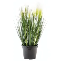 EUROPALMS Federgras, künstlich, weiß, 60cm