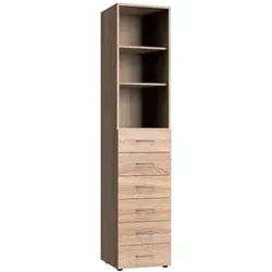WIMEX Regal Multiraumkonzept Holzoptik Braun Eiche Sägerau
