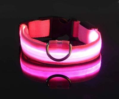 Uplifted Finds Nylon LED Night Safety Glow Dog Leash And Collar l pink