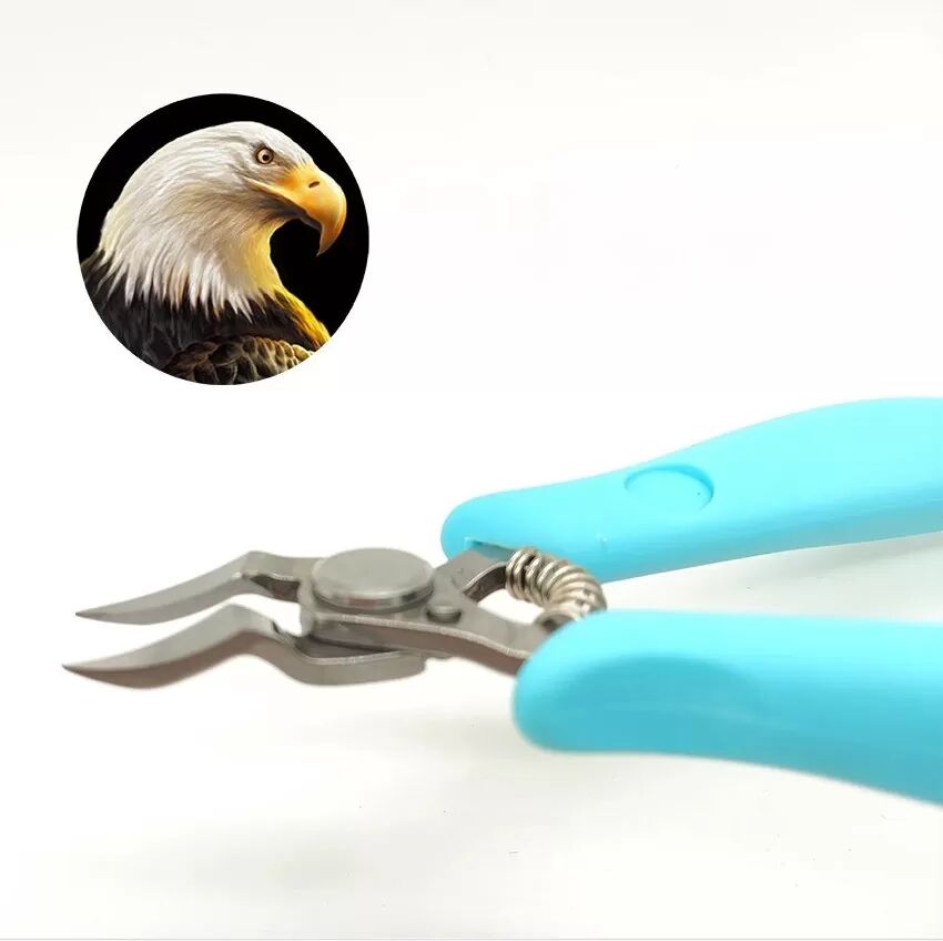 INF Coupe-ongles à Ressort - Pince à Ongles Incarnés en Acier Inoxydable avec Mâchoires de Précision