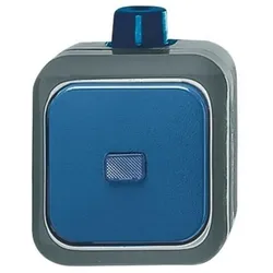 Busch-Jaeger Wechselschalter 2601/6 WDI