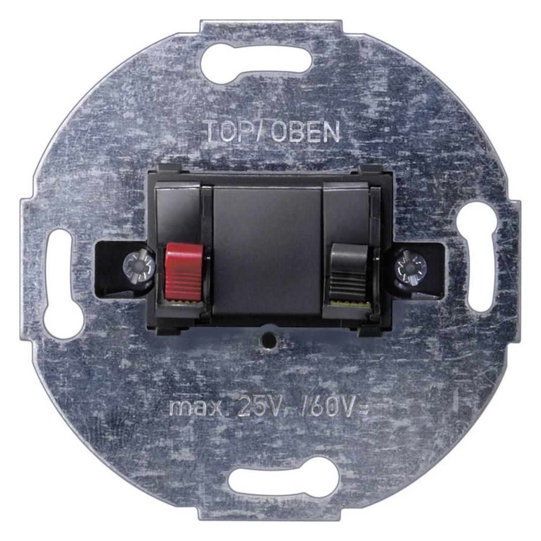 Siemens Einsatz Lautsprecher Delta Schwarz 5TG2467-2 (5TG2467-2)