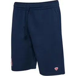 hummel 1. FC Köln Fanshorts 2025/26 Herren 7459 - dress blues S