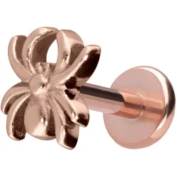 Titan Labret mit Push Fit SPINNE
