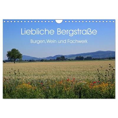 Liebliche Bergstraße - Burgen, Wein und Fachwerk (Wandkalender 2027 DIN A4 quer), CALVENDO Monatskalender