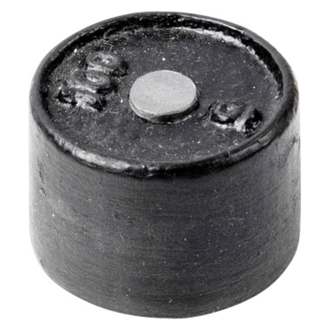 Kern Prüfgewicht 366-91 (366-91)