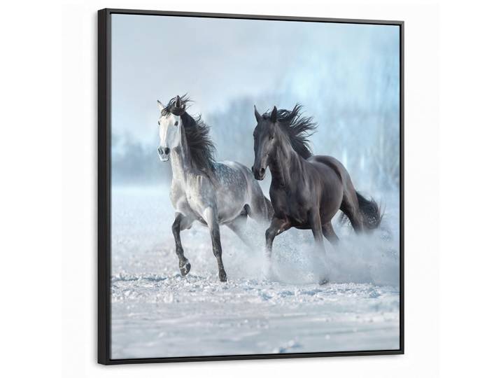 MuchoWow Leinwand Bilder mit Rahmen - Pferde - Winter - Tiere - Natur - Schnee - 90x90, Anthrazit, Quadratisch, 90x90 cm, gerahmt, Bilder & Rahmen, Bilder, Leinwandbilder