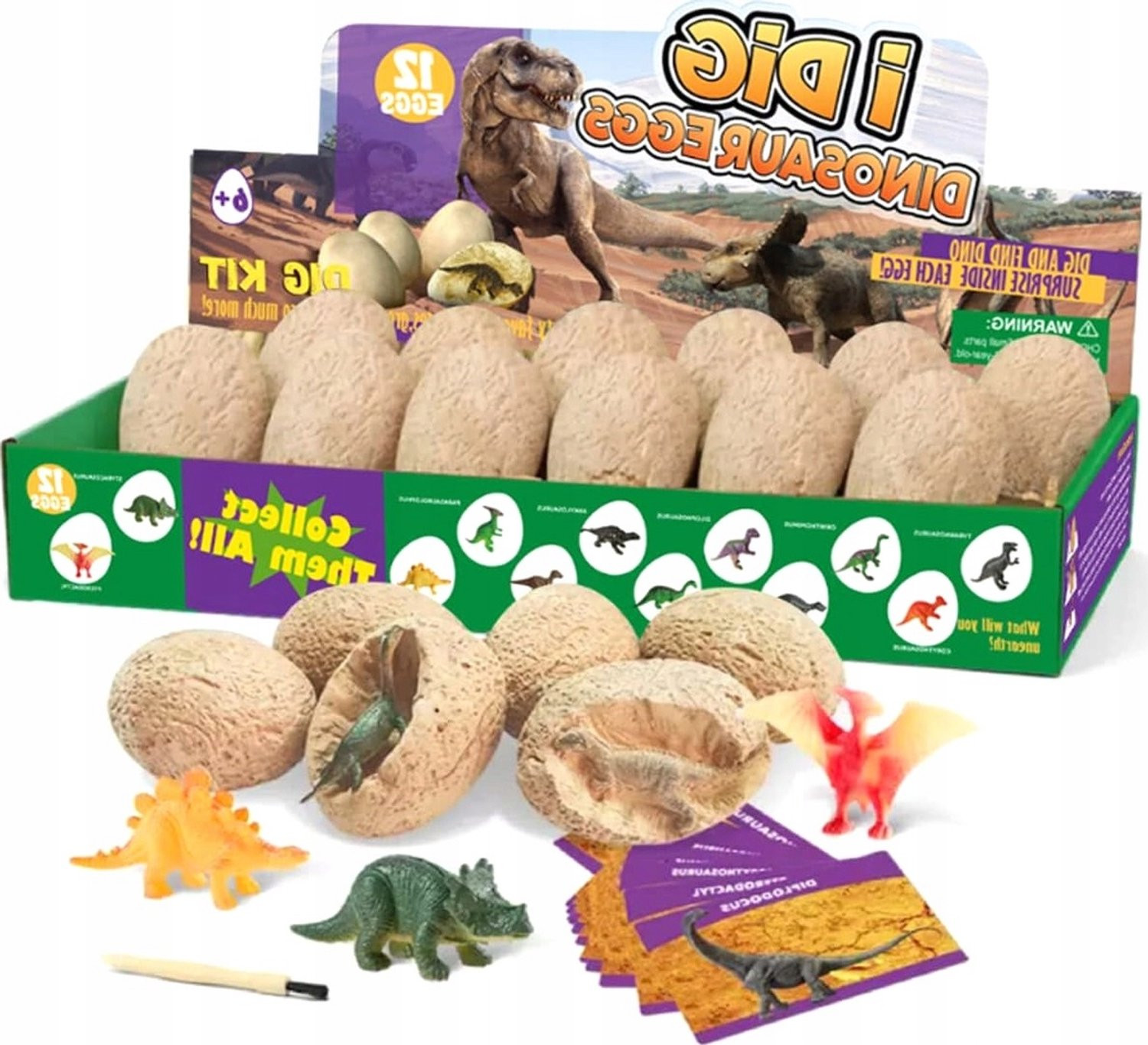 Dinosaurus Eieren Opgegraven Set - 12 Stuks Educatief STEM Speelgoed