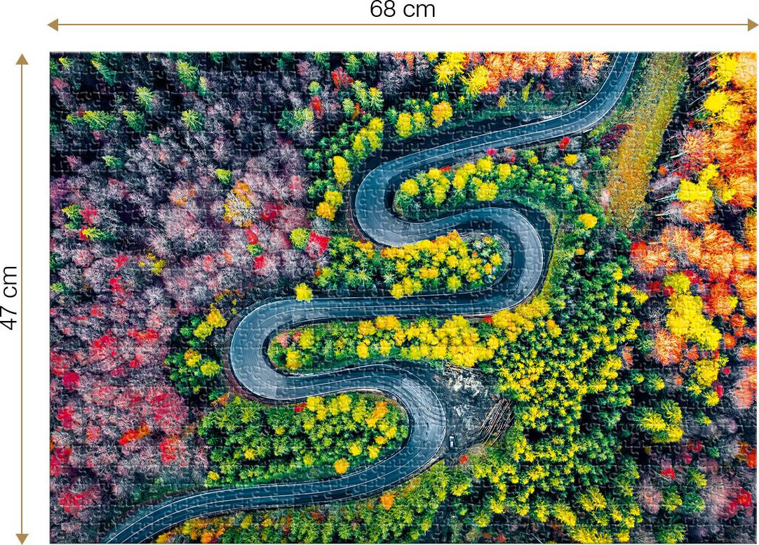 Roovi Puzzel Cheia Pass - 1000 stukjes, meerkleurig
