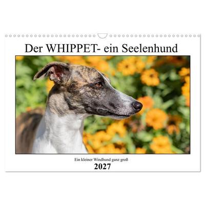 Der Whippet - ein Seelenhund (Wandkalender 2027 DIN A3 quer), CALVENDO Monatskalender