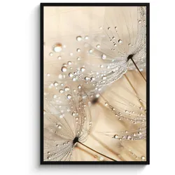 POSTER MIT RAHMEN Löwenzahn - Abstrakt - Natur - Beige Bilderleiste 80x120 cm