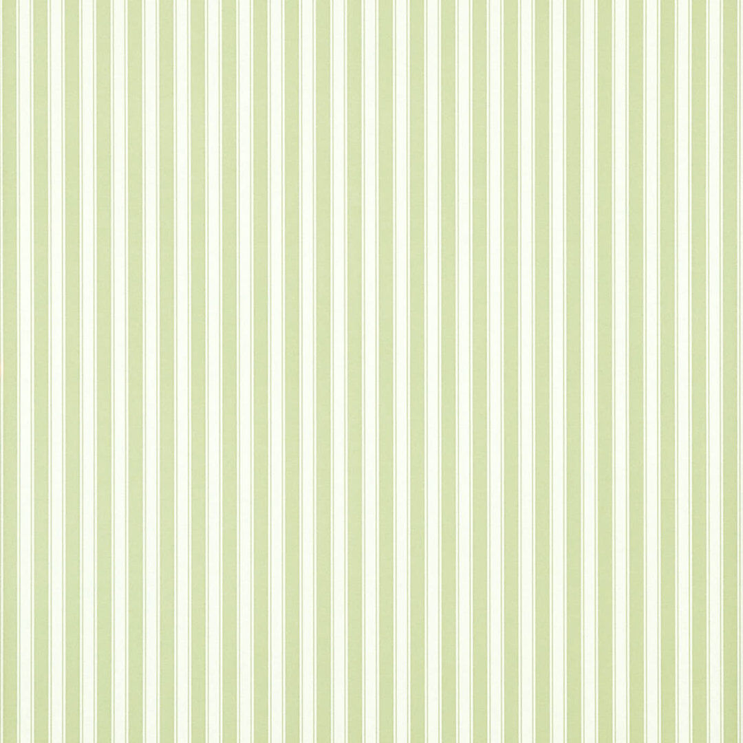 Sanderson New Tiger Stripe 10.05m x 52cm Matte Wallpaper Roll Green