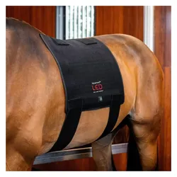Horseware, Reitsattel