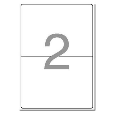 Esselte Shipping label 199.6x143.5 pk/100 (57131)