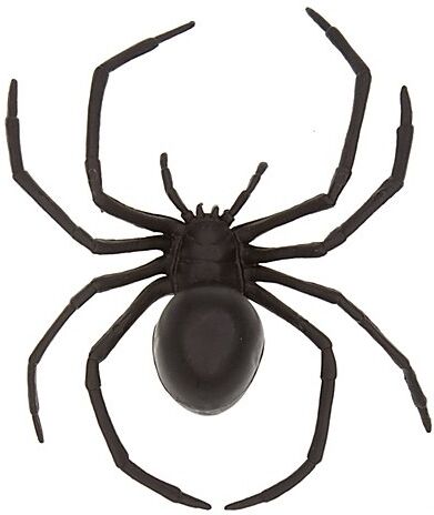 Spinne, schwarz