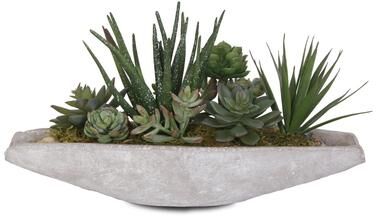 Jenny Silks Artificial Succulents Arrangement in Boat Shape Stone Wash Cement Pot - 16W x 6.5D x 6.5H