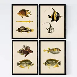 POSTER Set mit 4 Java von 9 verschiedenen Fischen A3 Rahmenlos