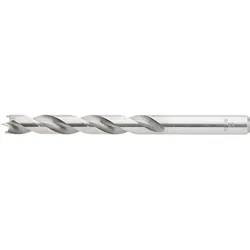 Fortis, Bohrereinsatz, Holzspiralbohrer 20 mm Spirale 142 mm Gesamtlänge 205 mm (20 mm)