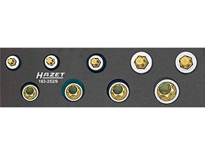 Hazet 163-252/9 Jeu d'Outils torx extérieur/intérieur/carré creux 10 mm/nombre d'Outils 9