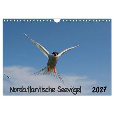Nordatlantische Seevögel (Wandkalender 2027 DIN A4 quer), CALVENDO Monatskalender