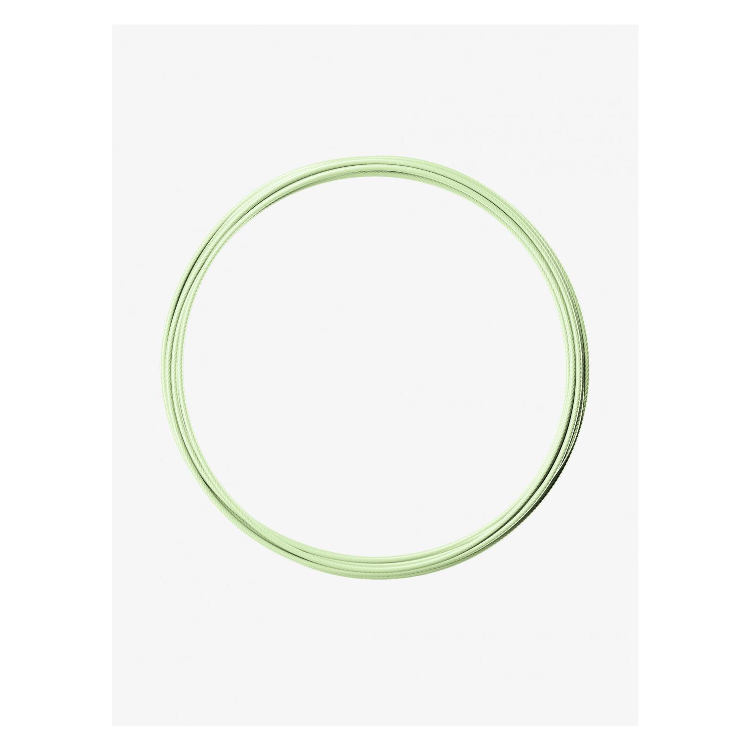 RPM Springseil Coated Cable - Pale Mint (55786332)