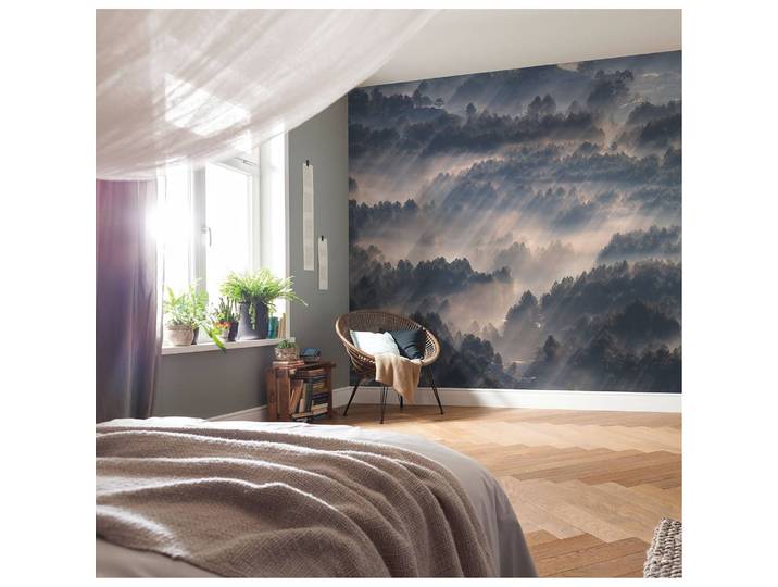 Papier peint intissé Rays 300 x 250cm