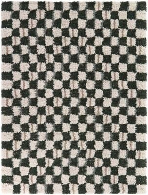 Balta Rugs Darien Modern Checkered Area Rug