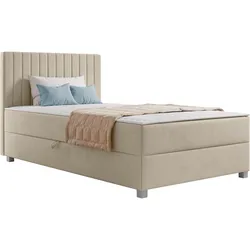 BOXBETT Viki - H3
