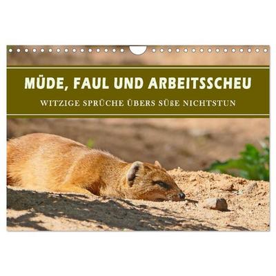 Müde, faul und arbeitsscheu (Wandkalender 2026 DIN A4 quer), CALVENDO Monatskalender