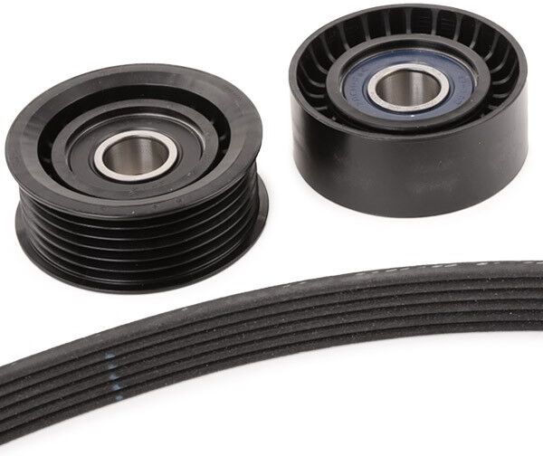 INA 529 0075 10 V-Ribbed Belt Set