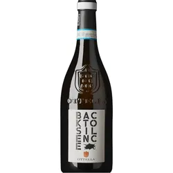 ́Back to Silence ́ · Vino Bianco in Anfora DOC 2024, Ottella, Venetien