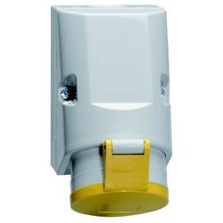 Bals Elektrotechnik 11948 11948 CEE Wandsteckdose 32.0 A 3polig 110 V 1 St.