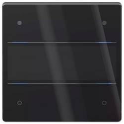 Theben 4804414 LUXORliving iON4 G BK Temperaturregler Unterputz 1 St.